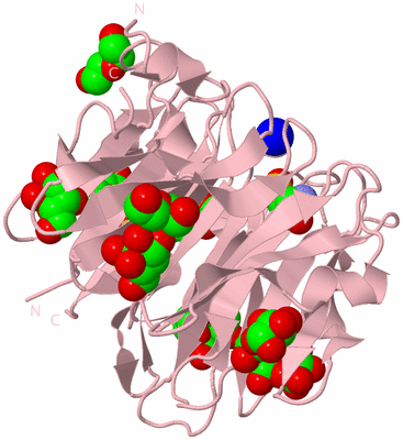 Image Biological Unit 3