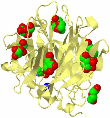 Image Biological Unit 4