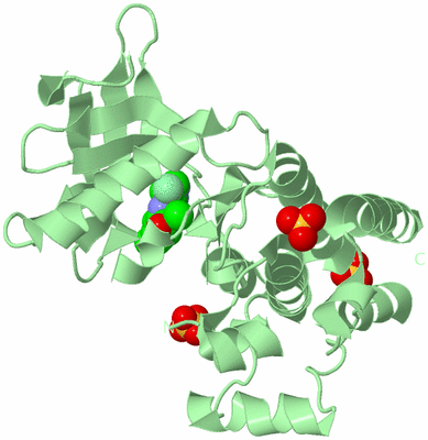 Image Biological Unit 2