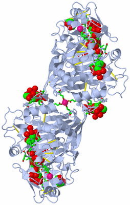 Image Biol. Unit 1 - sites