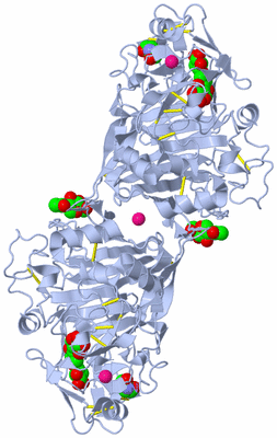 Image Biological Unit 1