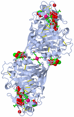 Image Biol. Unit 1 - sites