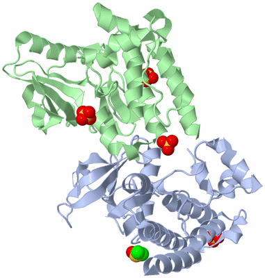 Image Asym./Biol. Unit