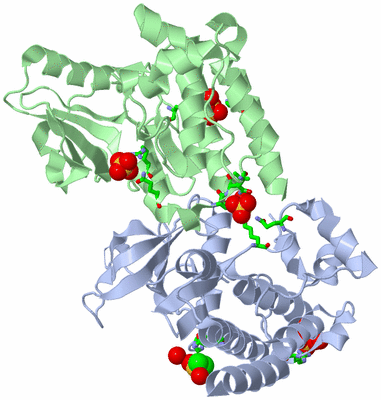 Image Asym./Biol. Unit - sites