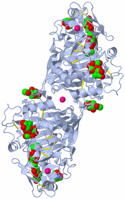 Image Biological Unit 1