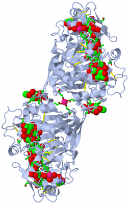 Image Biol. Unit 1 - sites