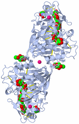 Image Biological Unit 1