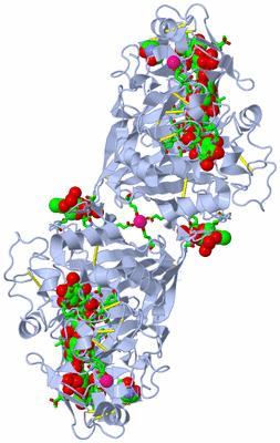 Image Biol. Unit 1 - sites