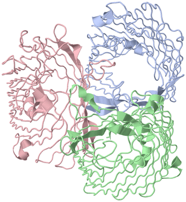 Image Biological Unit 1