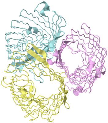 Image Biological Unit 2