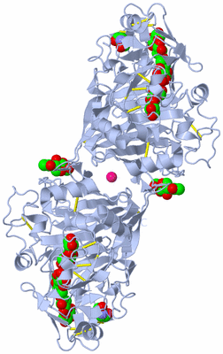 Image Biological Unit 1