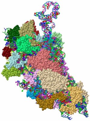 Image Asym./Biol. Unit