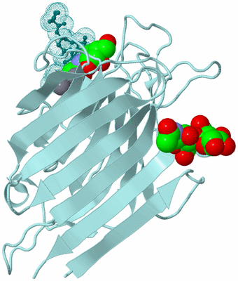 Image Biological Unit 10