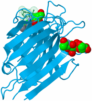 Image Biological Unit 3