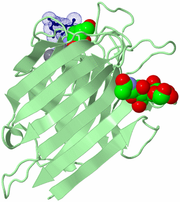 Image Biological Unit 4