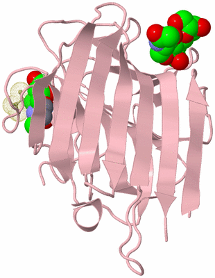 Image Biological Unit 5