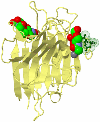 Image Biological Unit 6