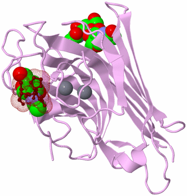 Image Biological Unit 7