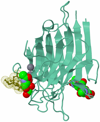 Image Biological Unit 8