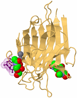 Image Biological Unit 9