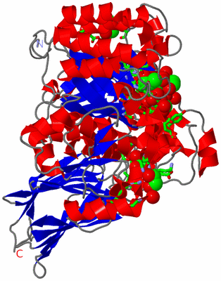 Image Asym./Biol. Unit - sites