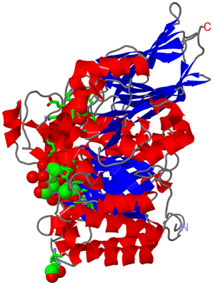 Image Asym./Biol. Unit - sites