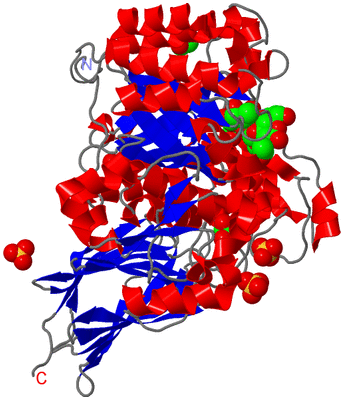 Image Asym./Biol. Unit