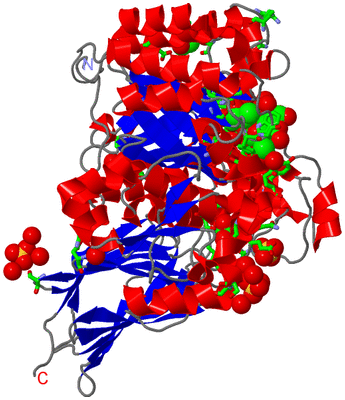 Image Asym./Biol. Unit - sites