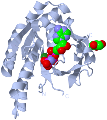 Image Biological Unit 1