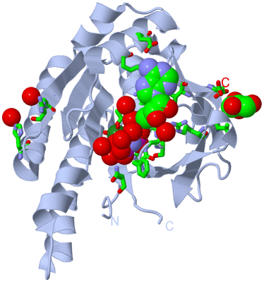 Image Biol. Unit 1 - sites