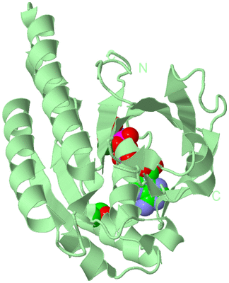 Image Biological Unit 2