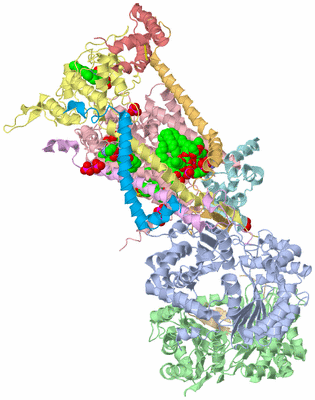 Image Biological Unit 1