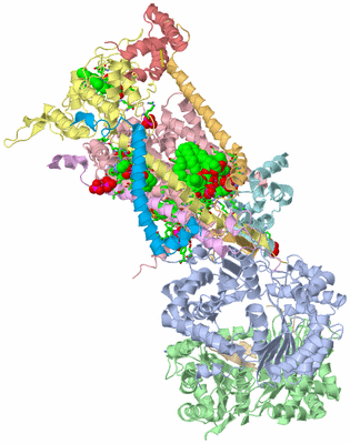 Image Biol. Unit 1 - sites