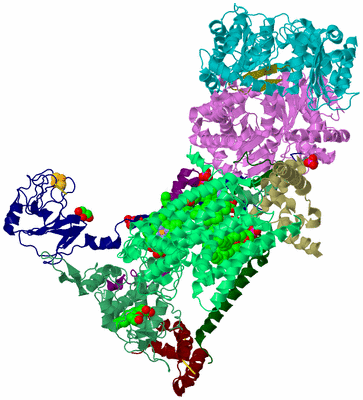 Image Biological Unit 2