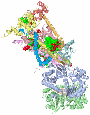 Image Biol. Unit 1 - sites