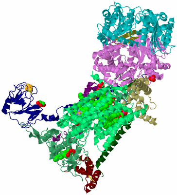 Image Biological Unit 2