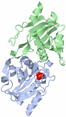 Image Asym./Biol. Unit