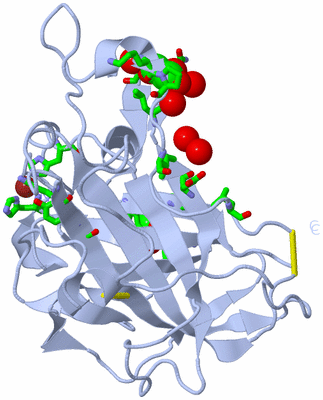 Image Biol. Unit 1 - sites