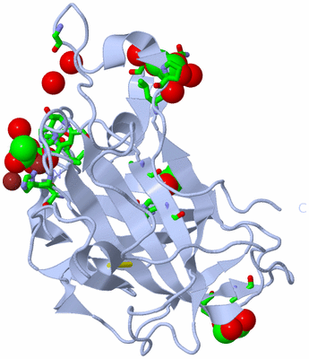 Image Biol. Unit 1 - sites