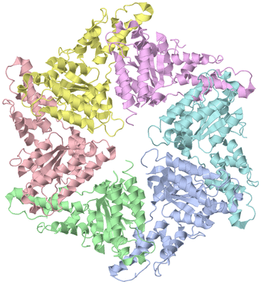 Image Asym./Biol. Unit
