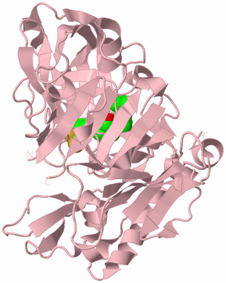 Image Biological Unit 3