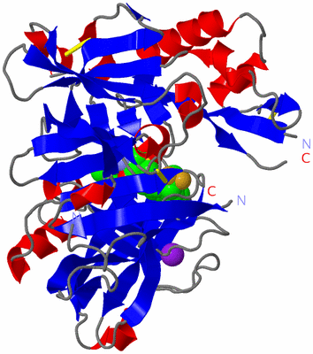 Image Asym./Biol. Unit