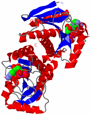 Image Asym./Biol. Unit