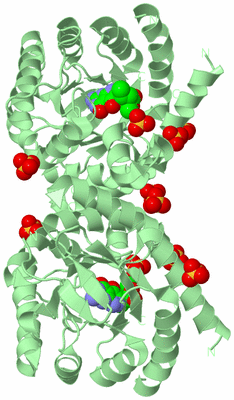 Image Biological Unit 2