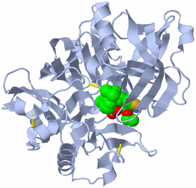 Image Biological Unit 1