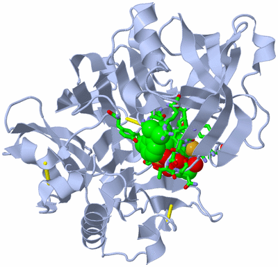 Image Biol. Unit 1 - sites