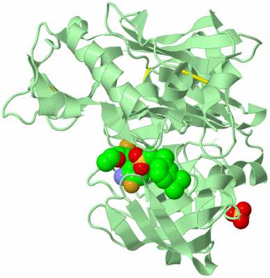 Image Biological Unit 2