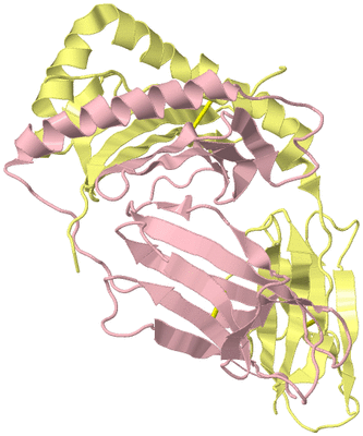 Image Biological Unit 2