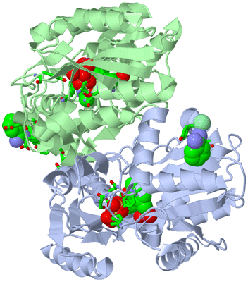 Image Biol. Unit 1 - sites