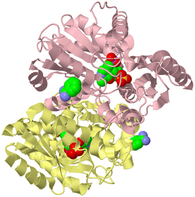 Image Biological Unit 2